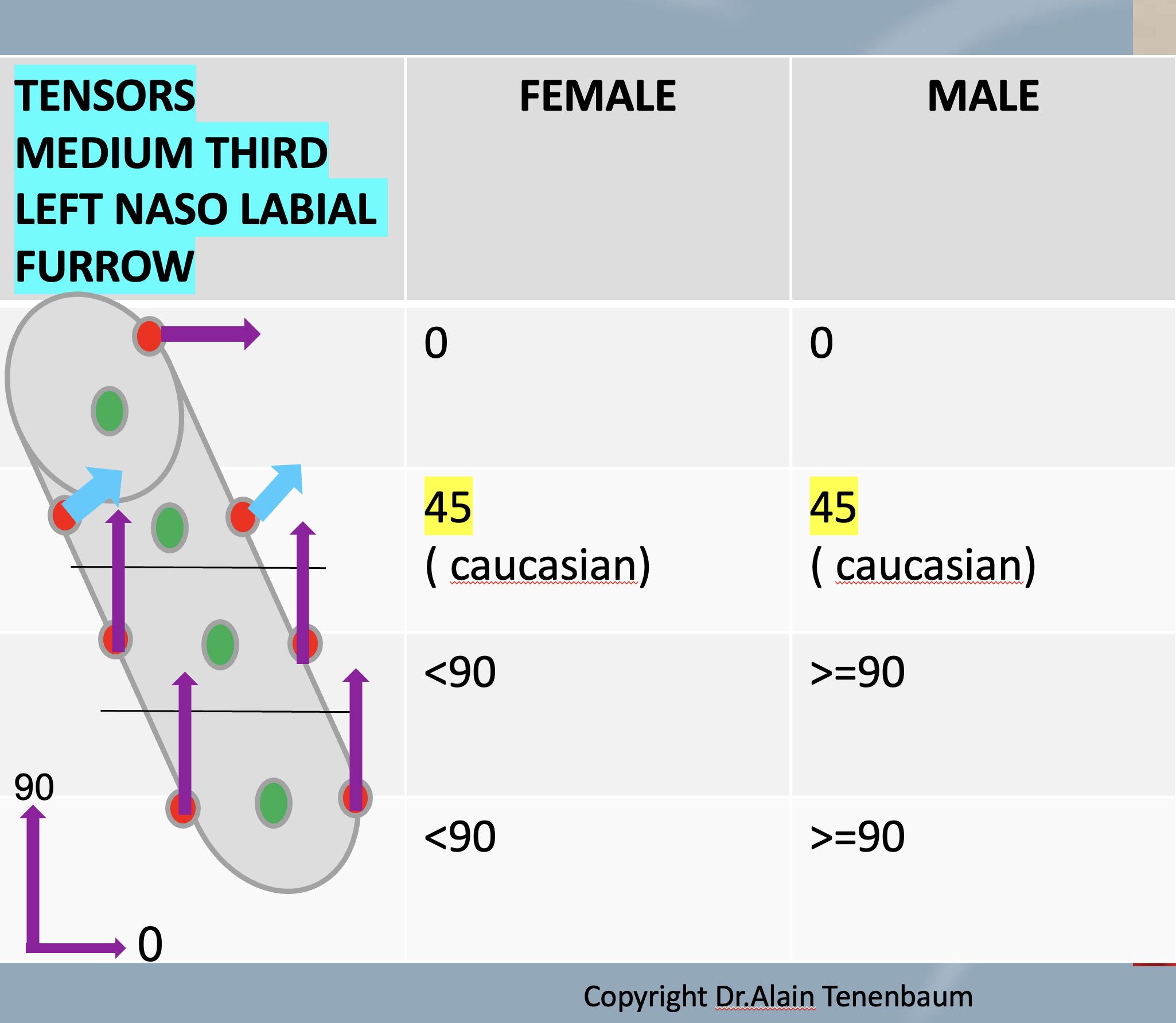 summary-gender-variations.tensors